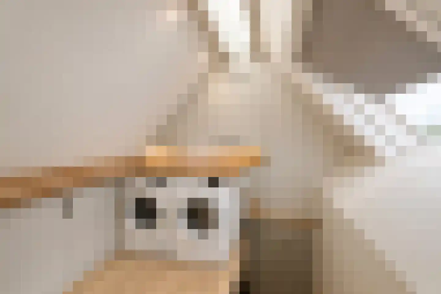 Maasdijk 45 Hedel thumbnail 53