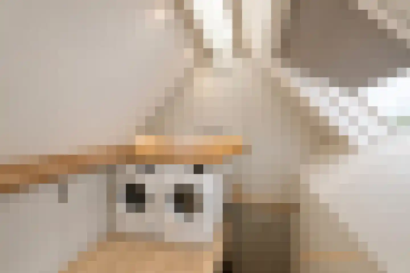 Maasdijk 45 Hedel thumbnail 54