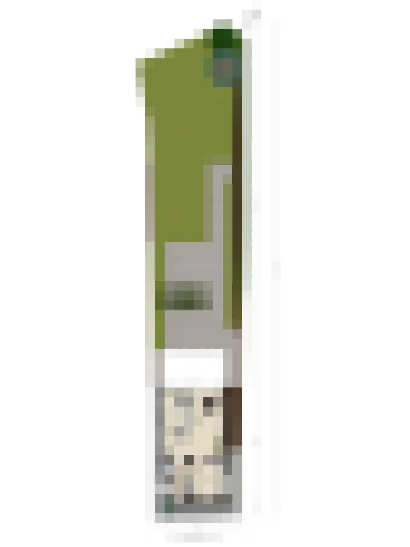Maasdijk 45 Hedel thumbnail 59