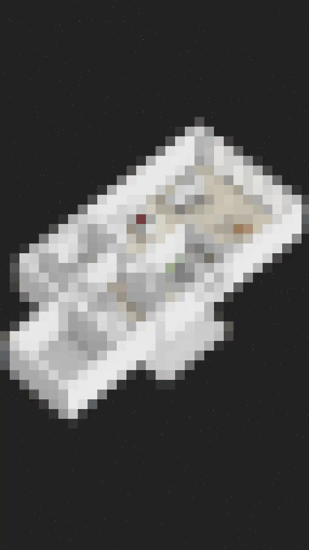 Maasdijk 45 Hedel thumbnail 62