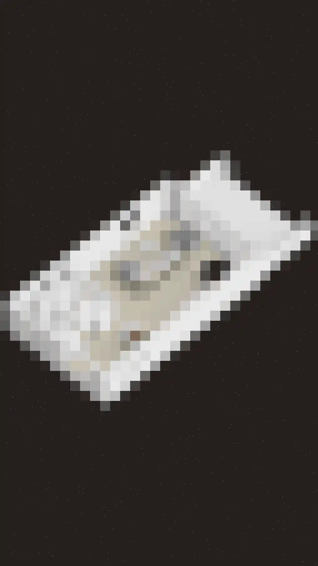 Maasdijk 45 Hedel thumbnail 64
