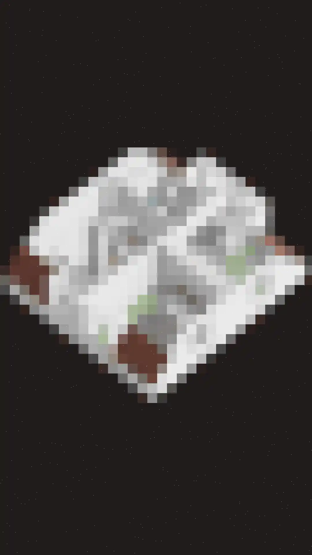 Maasdijk 45 Hedel thumbnail 66