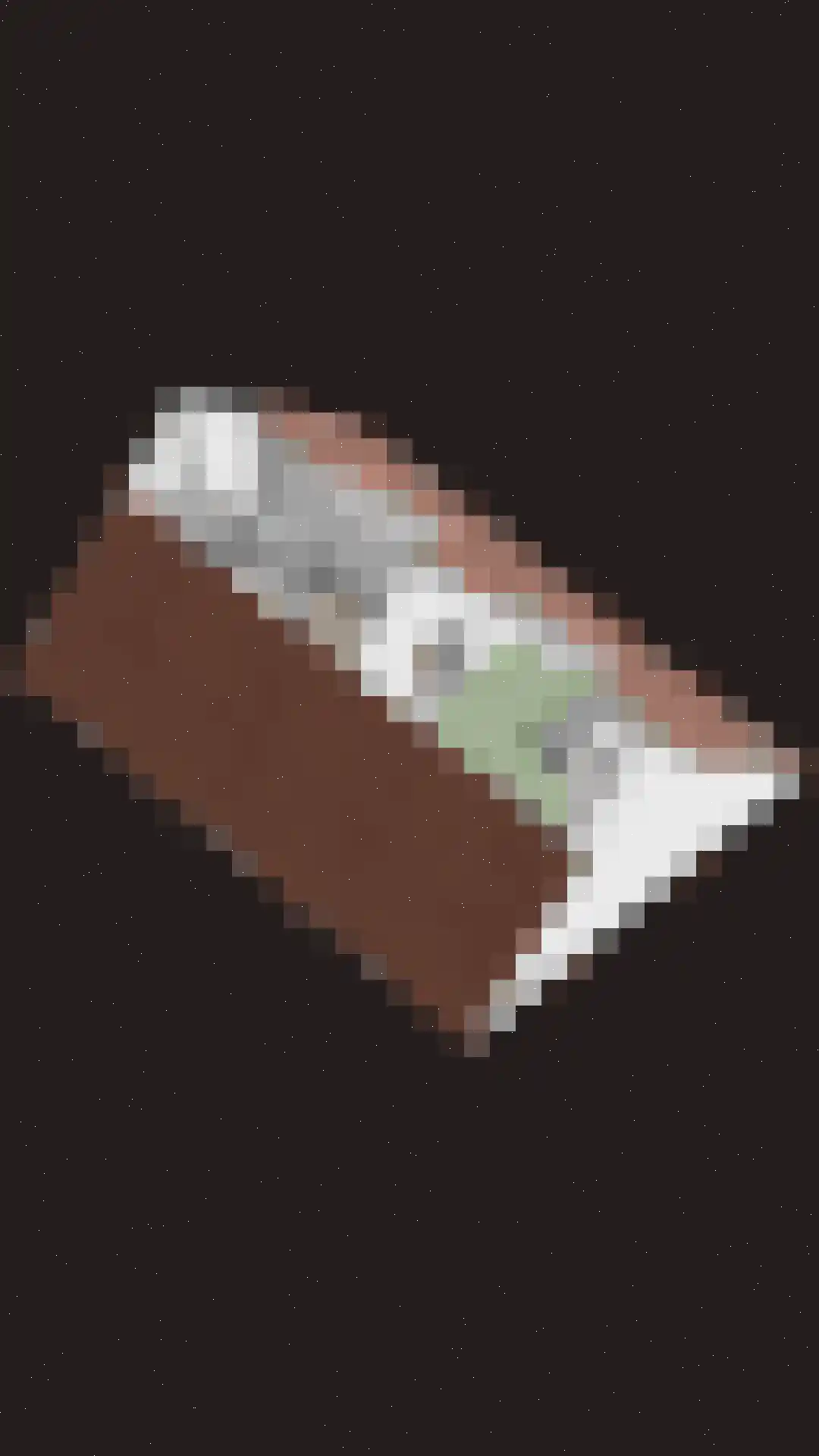 Maasdijk 45 Hedel thumbnail 68