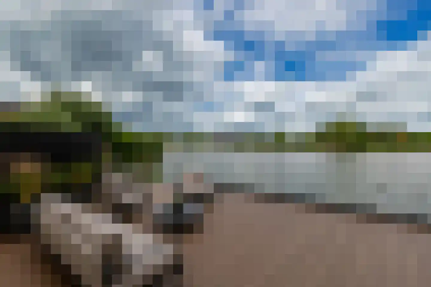 Maasdijk 45 Hedel thumbnail 8