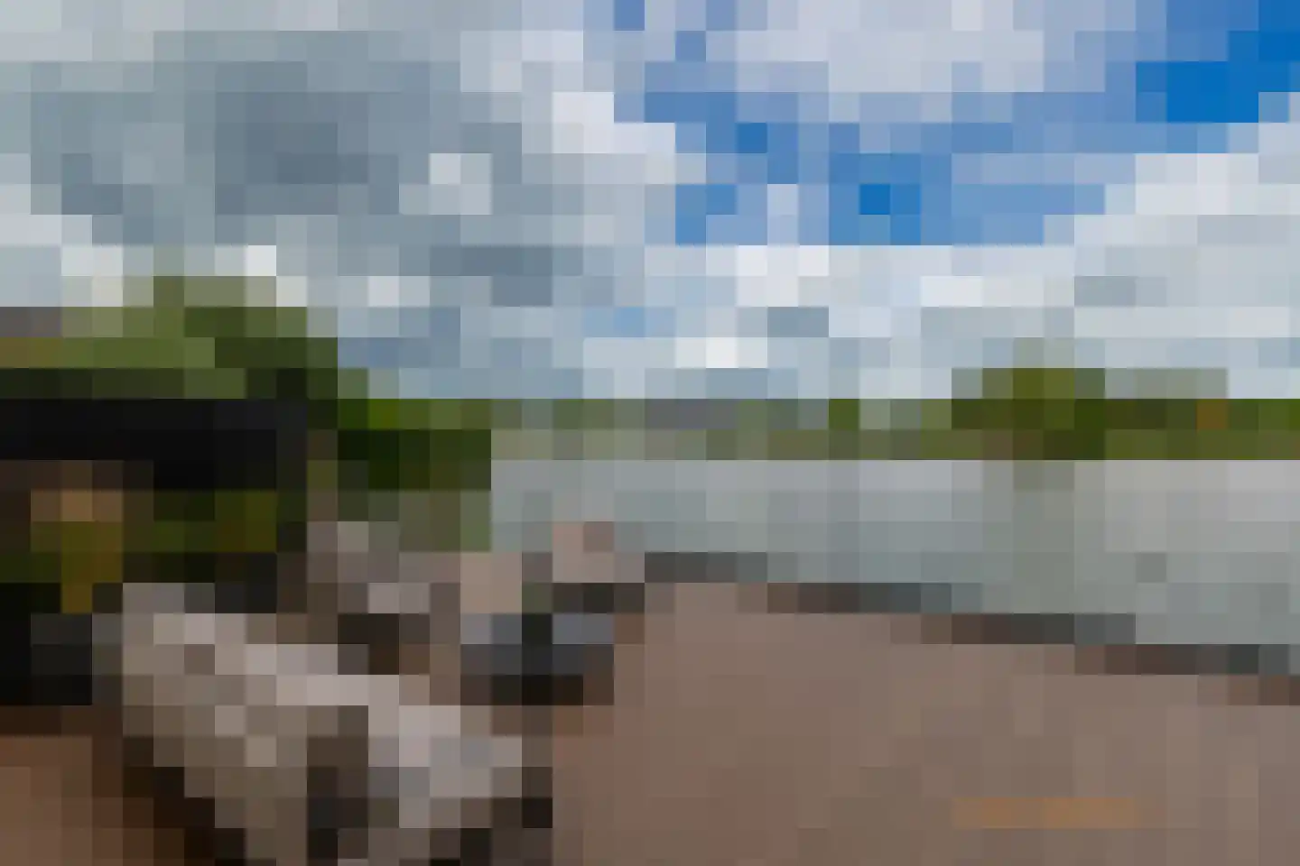 Maasdijk 45 Hedel thumbnail 9