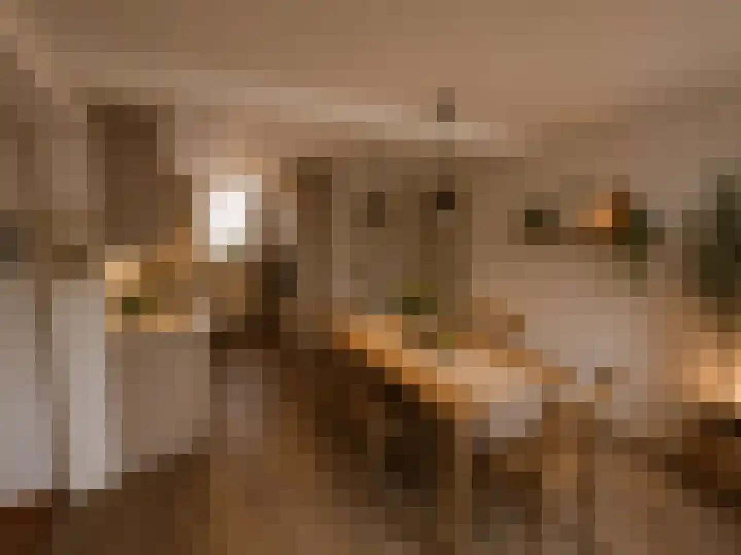 Maasdijk 46 Rossum thumbnail 17