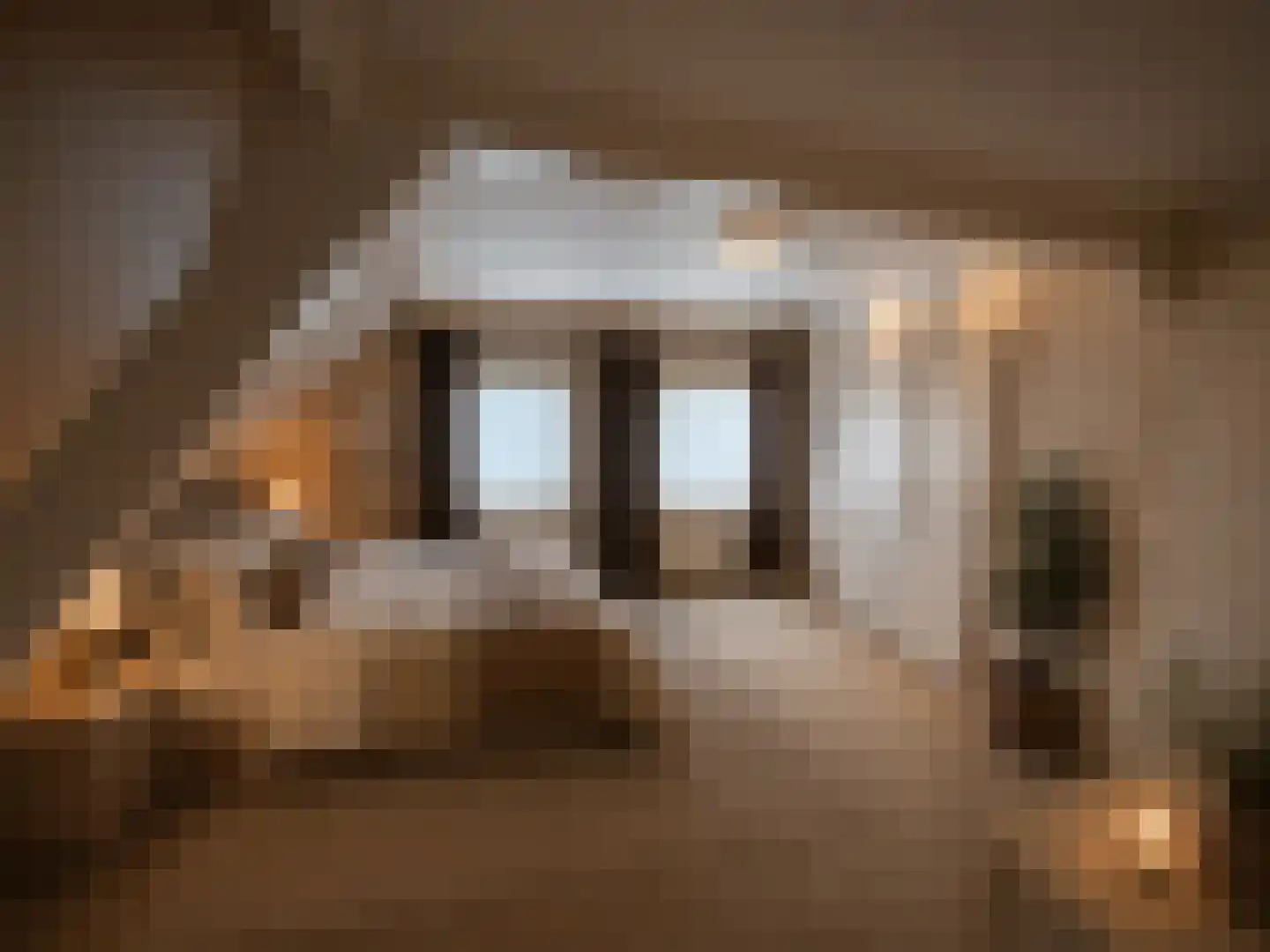 Maasdijk 46 Rossum thumbnail 24