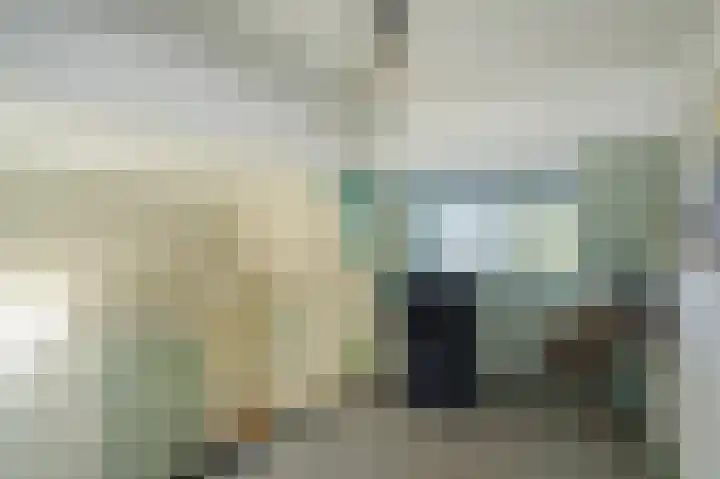 Maasdijk 46 Rossum thumbnail 24