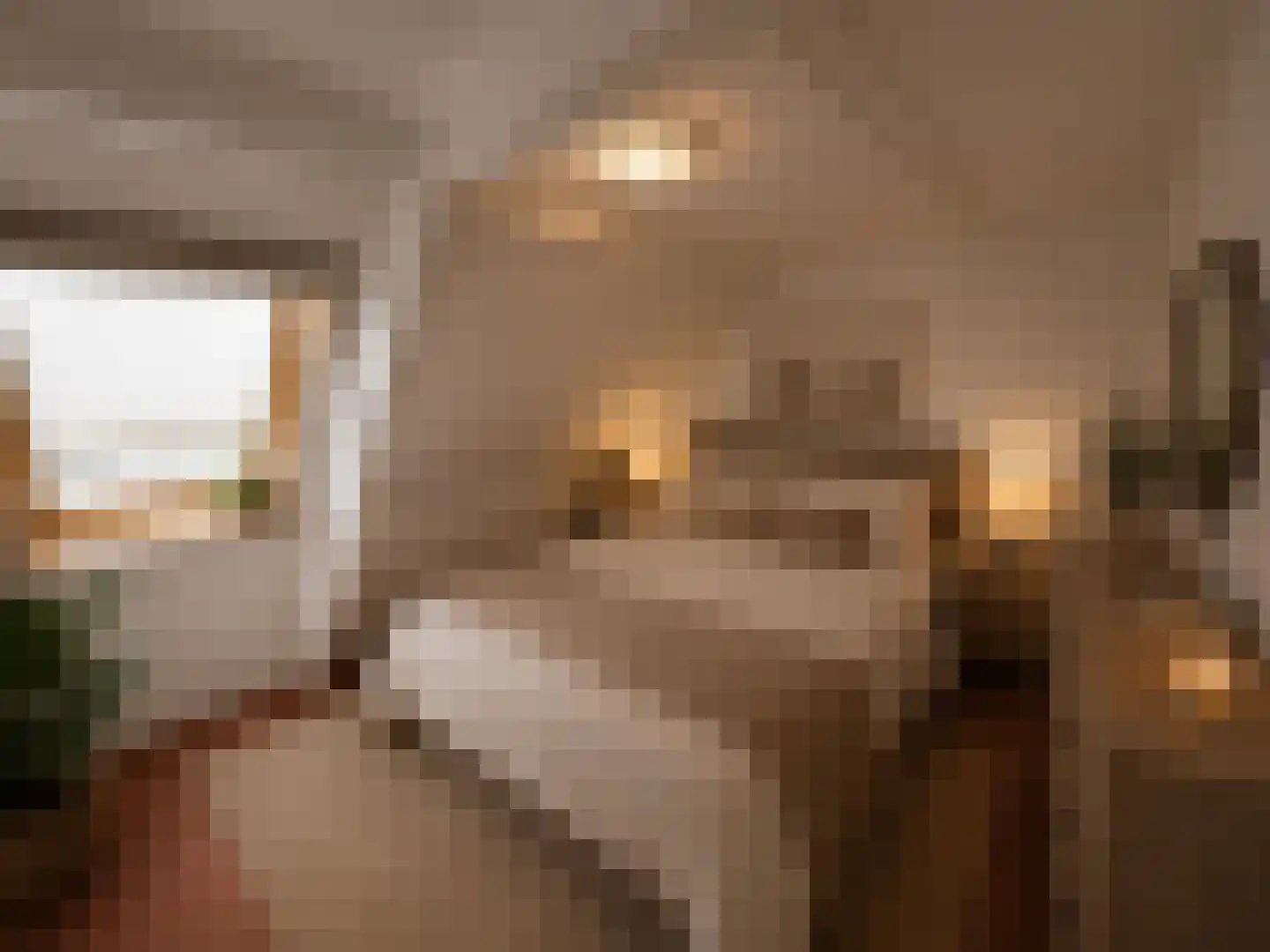 Maasdijk 46 Rossum thumbnail 26