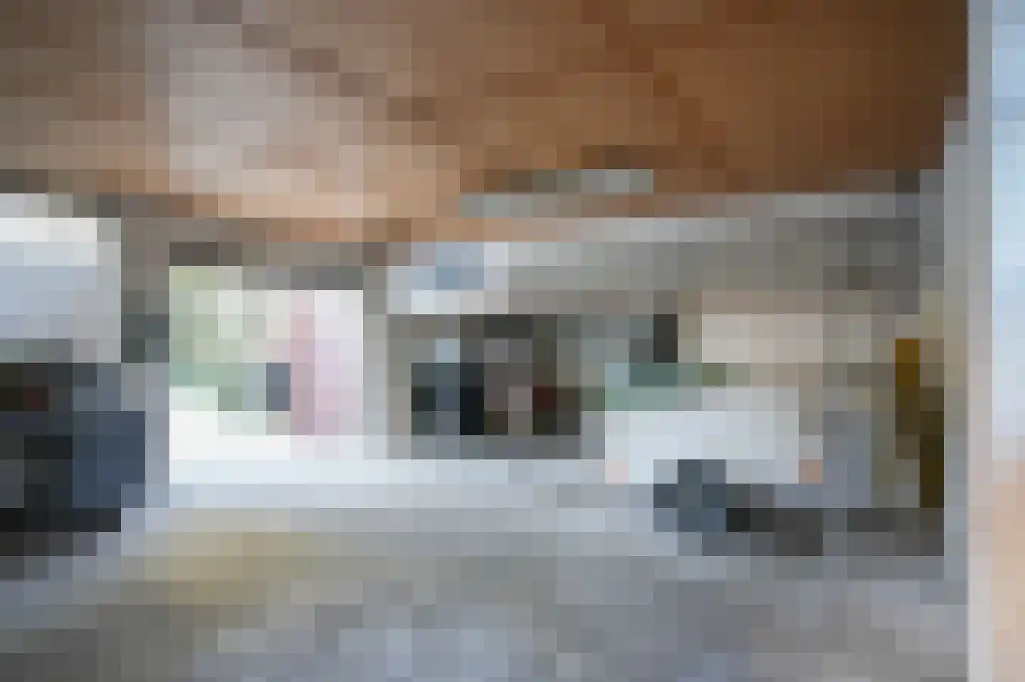 Maasdijk 46 Rossum thumbnail 30