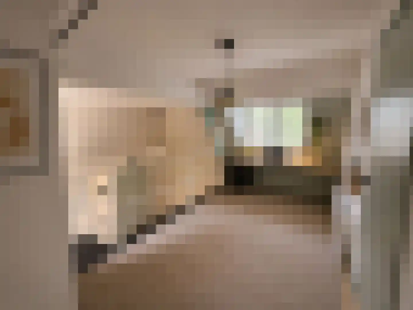 Maasdijk 46 Rossum thumbnail 30