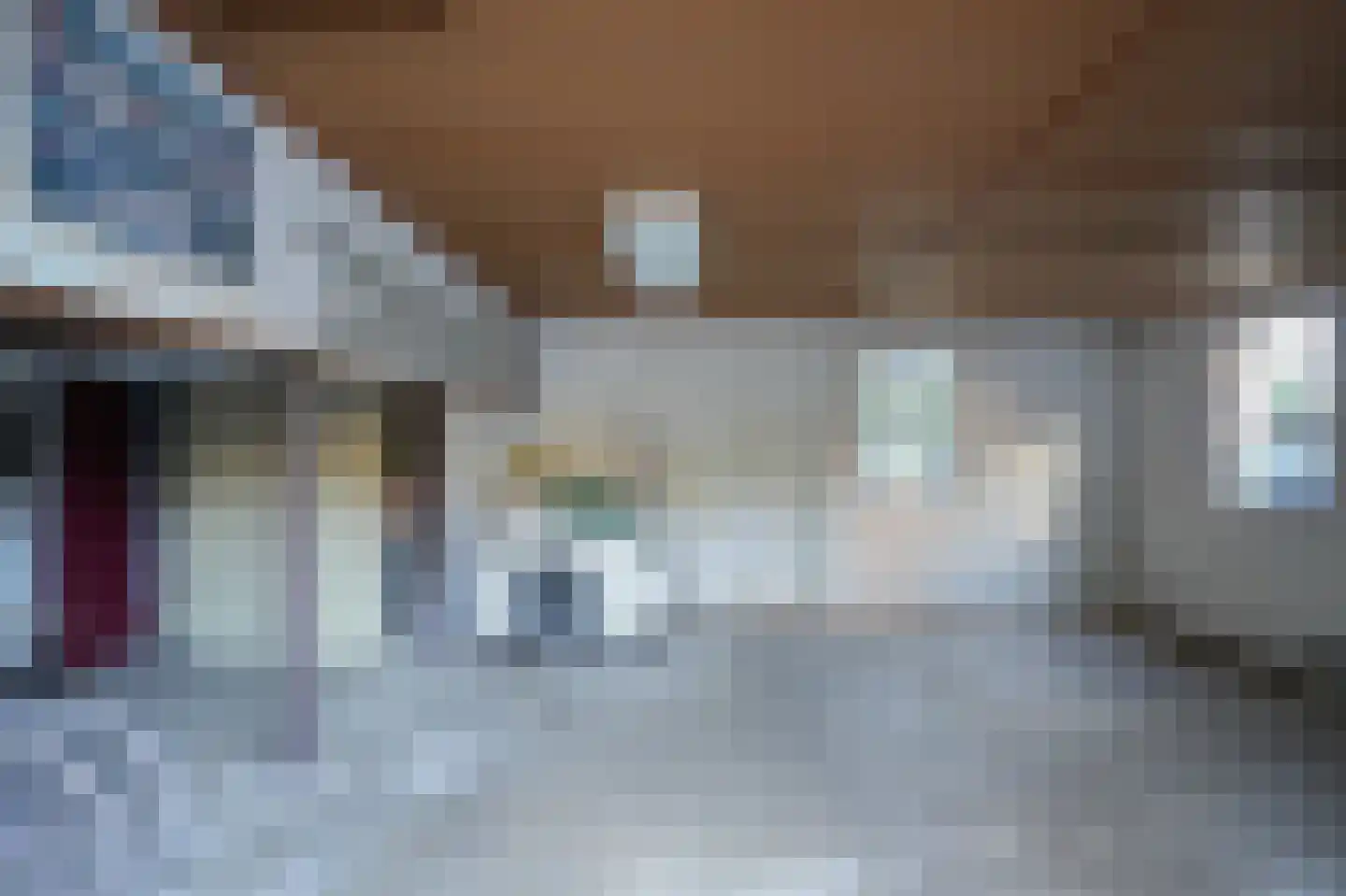 Maasdijk 46 Rossum thumbnail 31