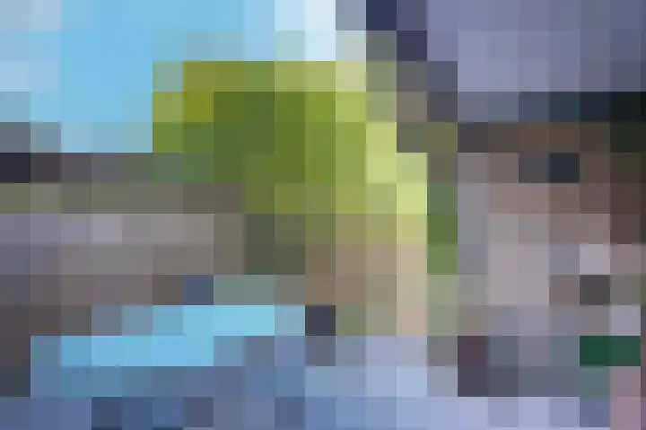 Maasdijk 46 Rossum thumbnail 33
