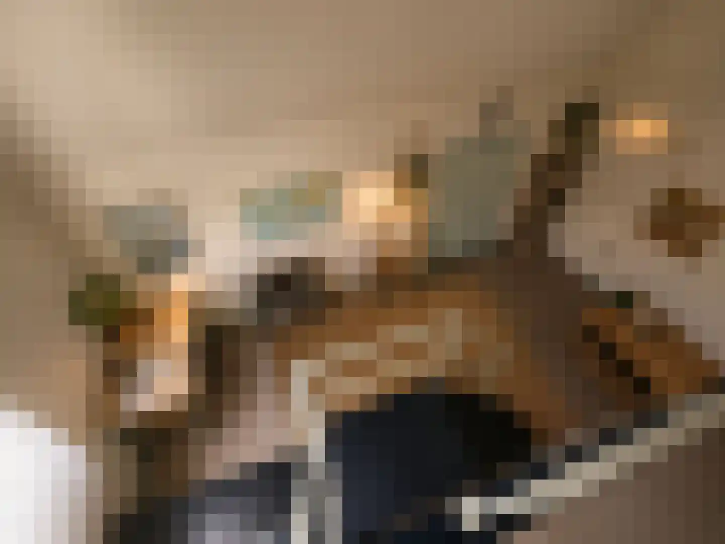 Maasdijk 46 Rossum thumbnail 33