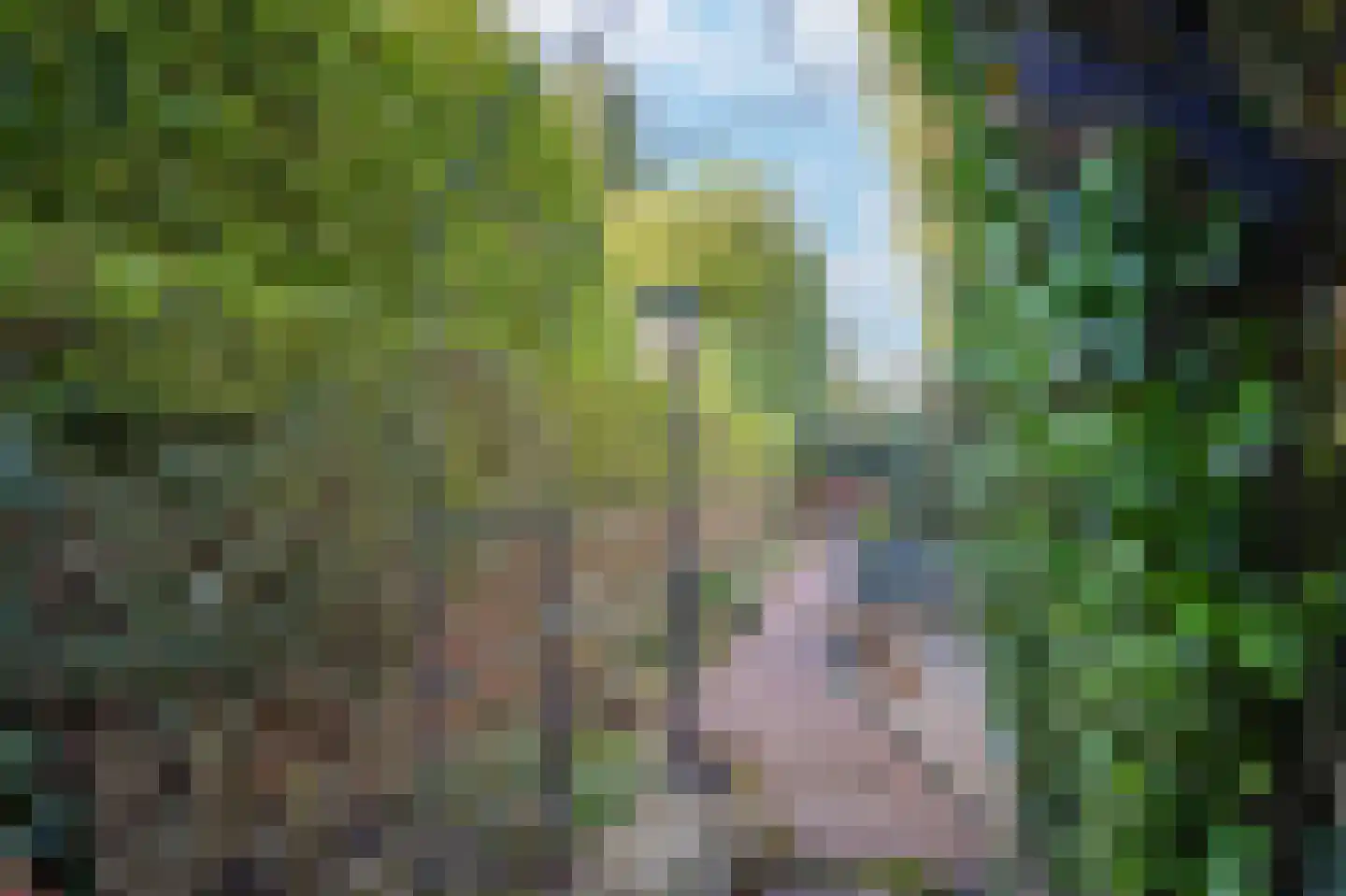 Maasdijk 46 Rossum thumbnail 35