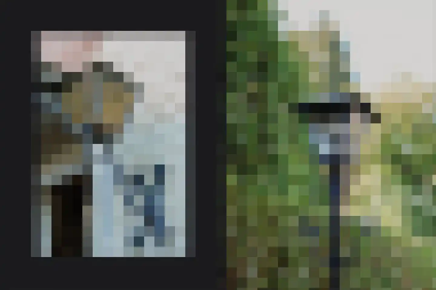 Maasdijk 46 Rossum thumbnail 36