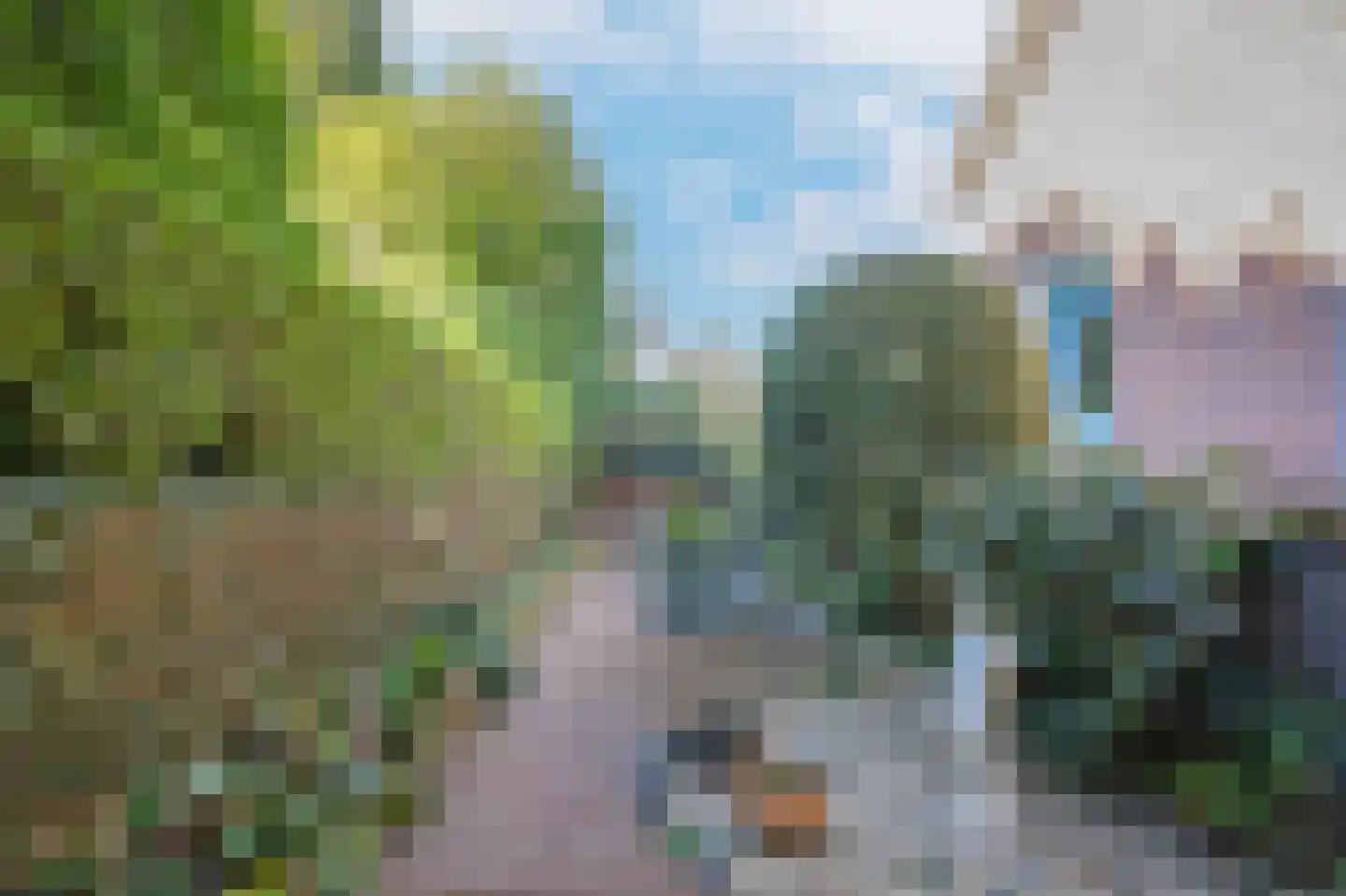 Maasdijk 46 Rossum thumbnail 37