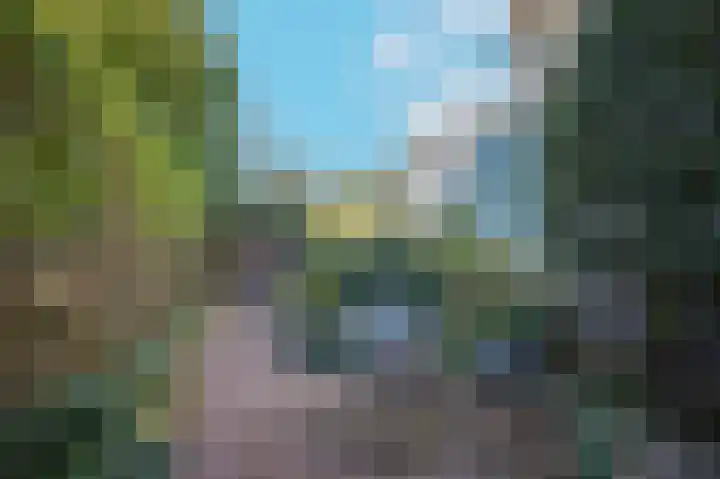 Maasdijk 46 Rossum thumbnail 38