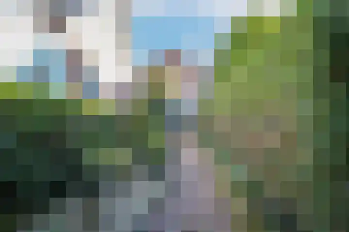 Maasdijk 46 Rossum thumbnail 39