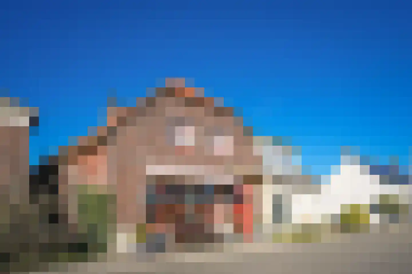 Maasdijk 46 Rossum thumbnail 42