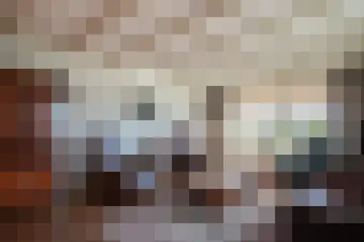 Maasdijk 46 Rossum thumbnail 5