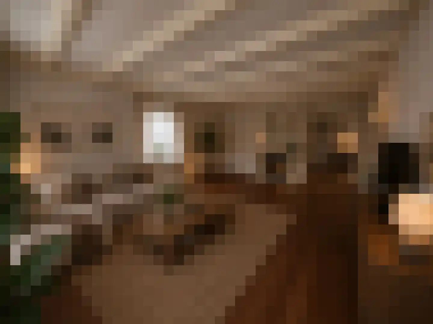 Maasdijk 46 Rossum thumbnail 9