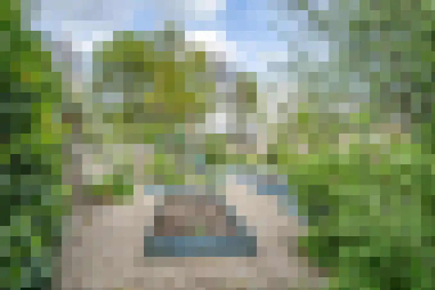 Maasdijk 48 Poederoijen thumbnail 10