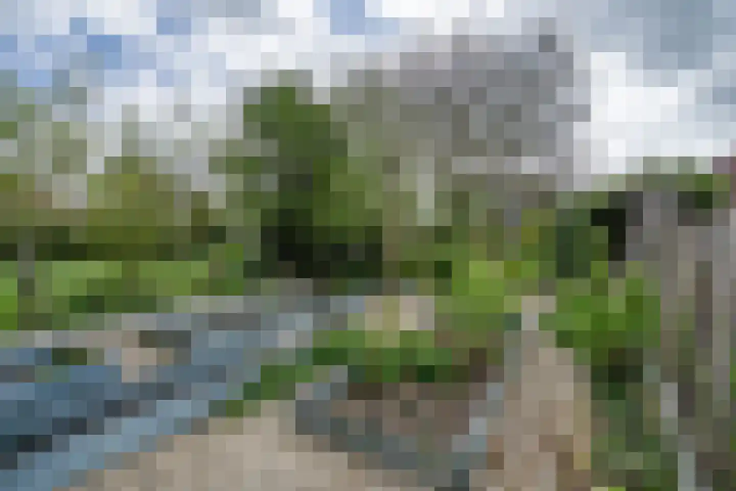 Maasdijk 48 Poederoijen thumbnail 12