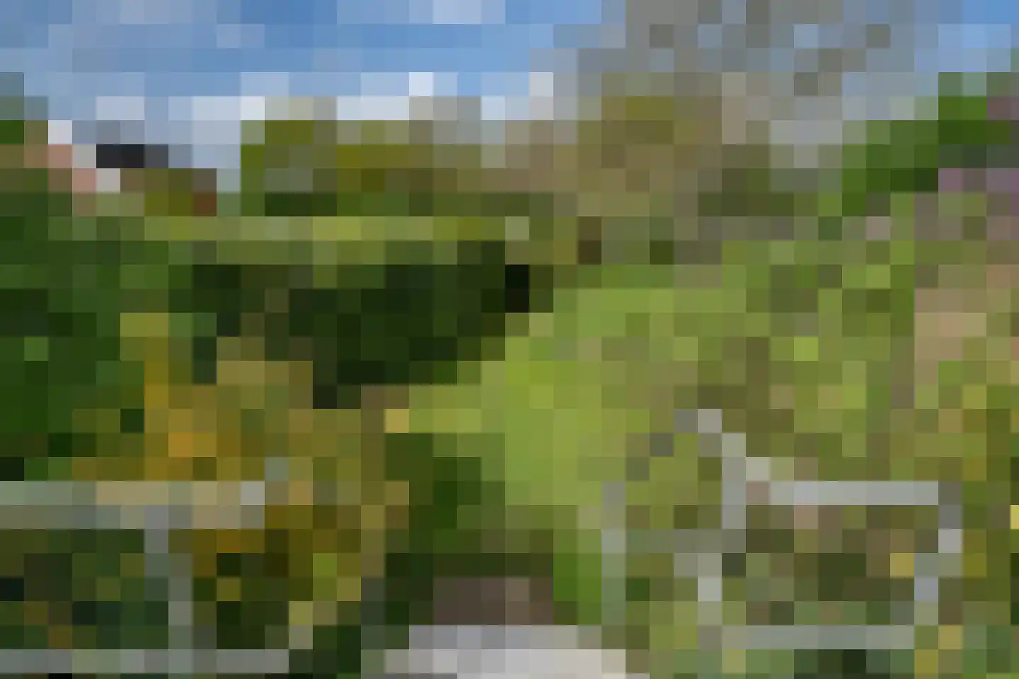 Maasdijk 48 Poederoijen thumbnail 13