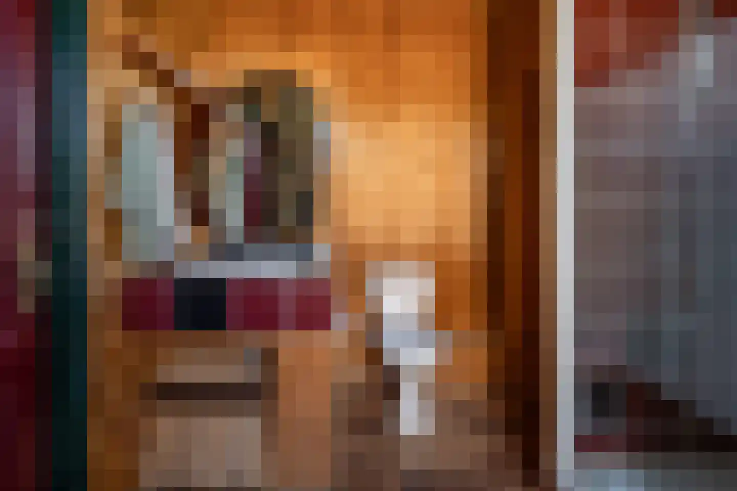 Maasdijk 48 Poederoijen thumbnail 36