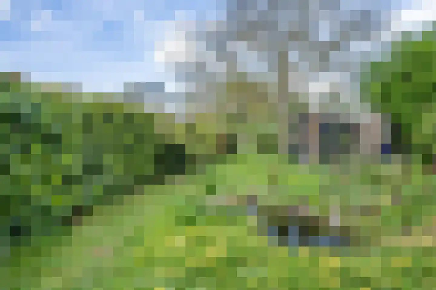 Maasdijk 48 Poederoijen thumbnail 4