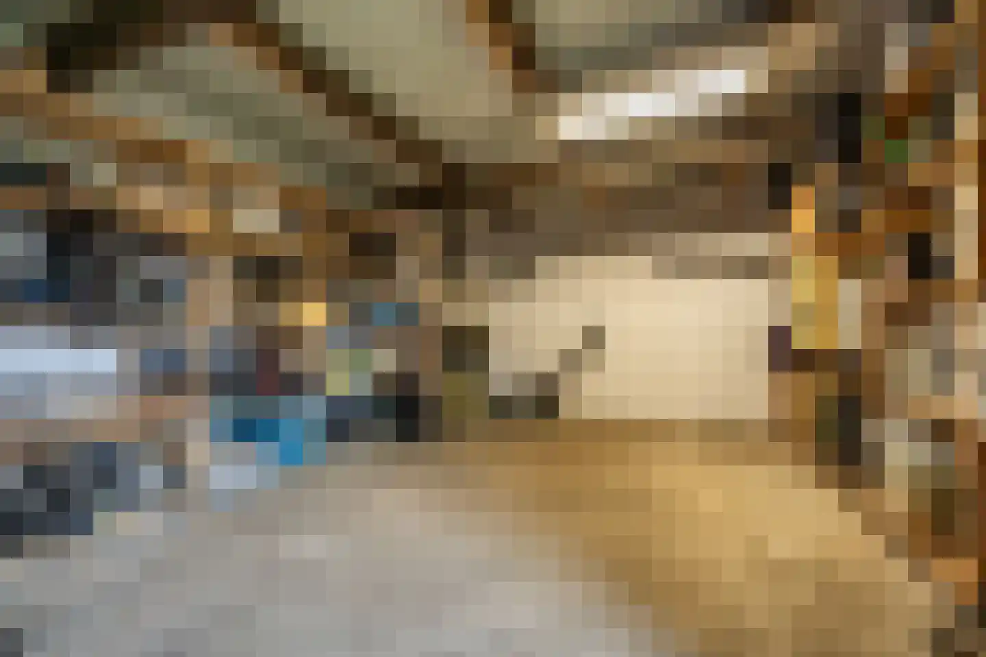Maasdijk 48 Poederoijen thumbnail 43