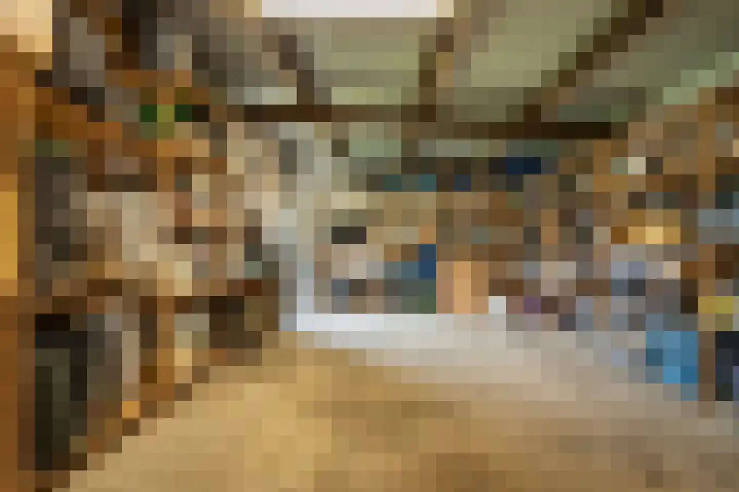 Maasdijk 48 Poederoijen thumbnail 44