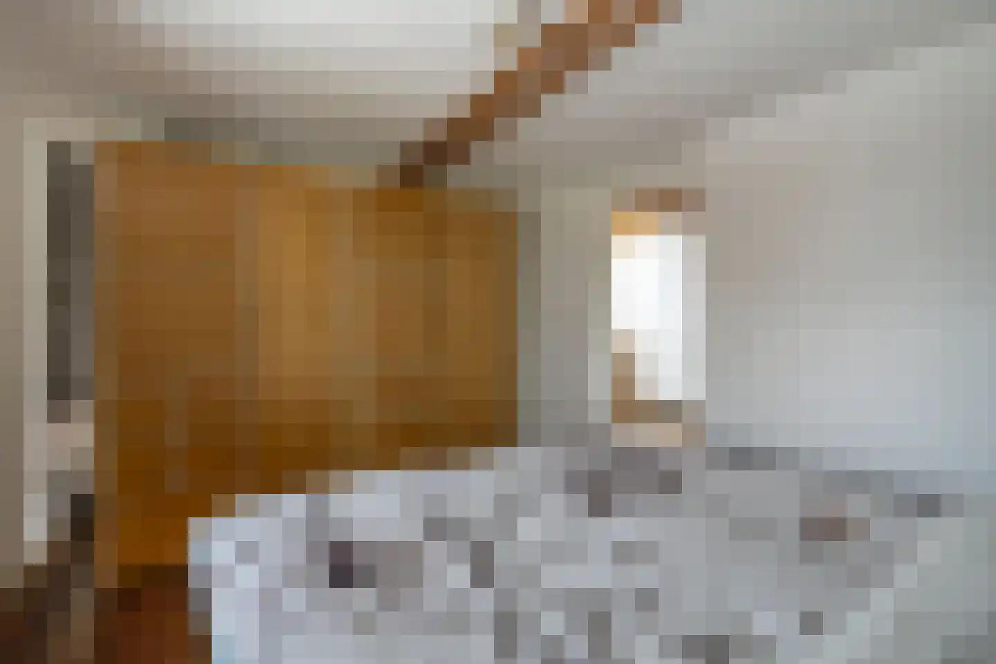 Maasdijk 48 Poederoijen thumbnail 54