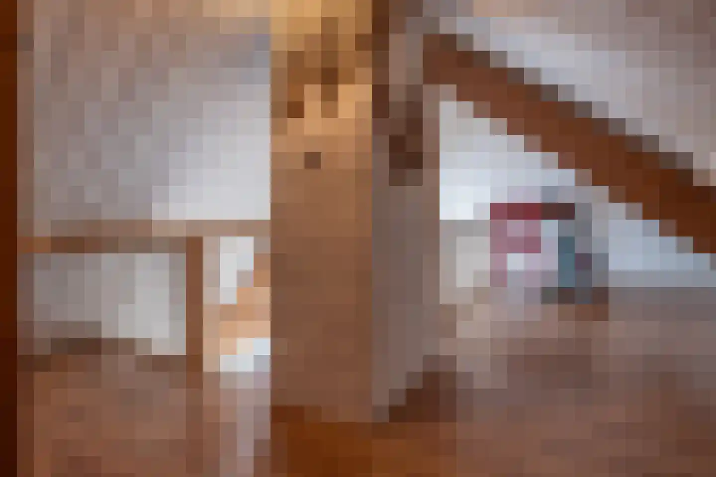 Maasdijk 48 Poederoijen thumbnail 59