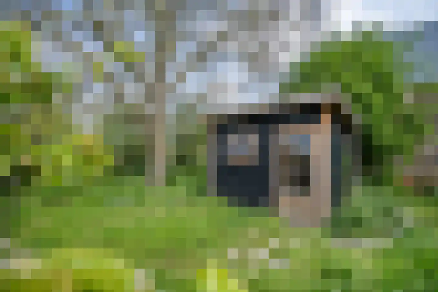 Maasdijk 48 Poederoijen thumbnail 6