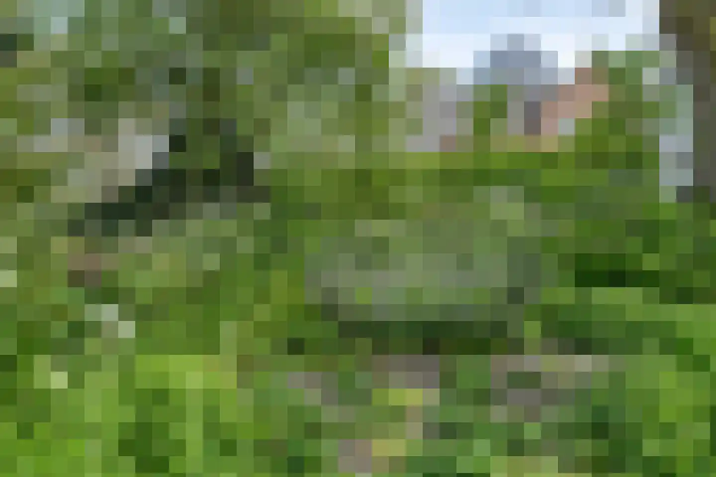 Maasdijk 48 Poederoijen thumbnail 7