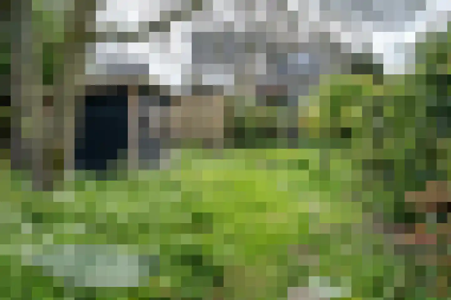 Maasdijk 48 Poederoijen thumbnail 9