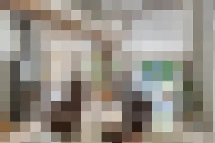 Maasdijk 5 Overlangel thumbnail 10