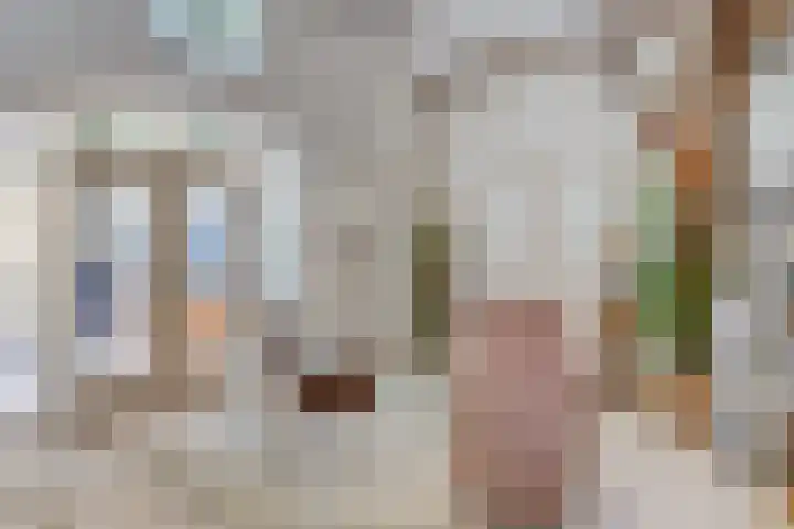 Maasdijk 5 Overlangel thumbnail 12