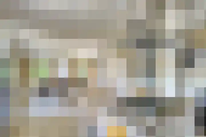 Maasdijk 5 Overlangel thumbnail 18