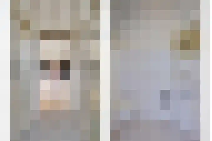 Maasdijk 5 Overlangel thumbnail 23