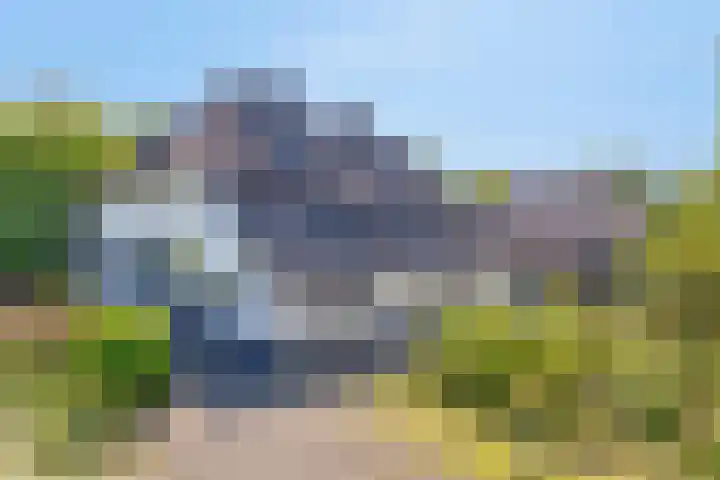 Maasdijk 5 Overlangel thumbnail 4