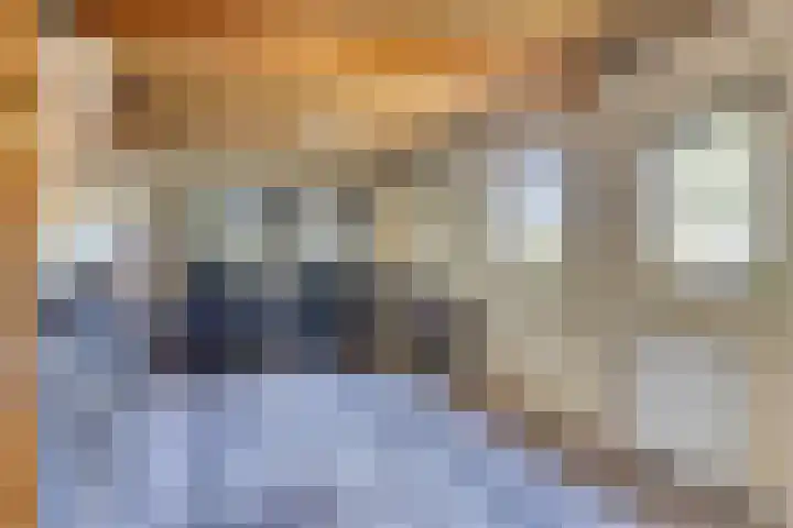 Maasdijk 5 Overlangel thumbnail 47