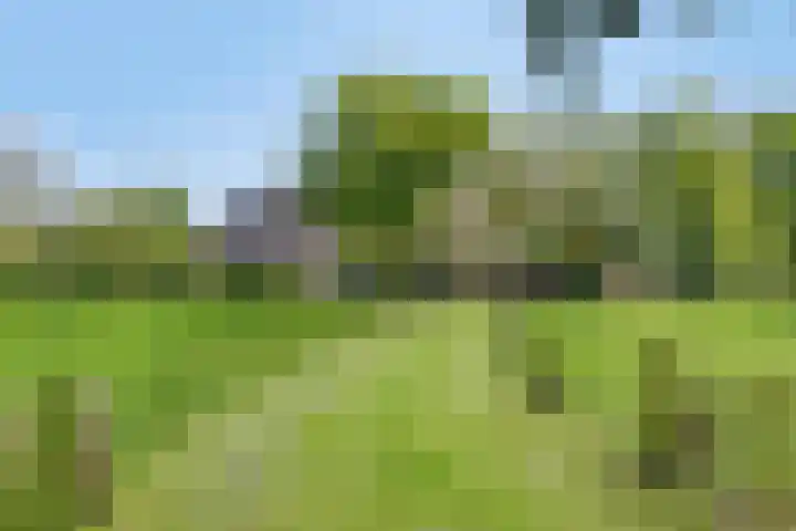 Maasdijk 5 Overlangel thumbnail 5