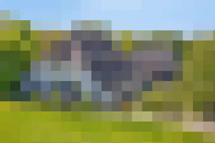 Maasdijk 5 Overlangel thumbnail 51
