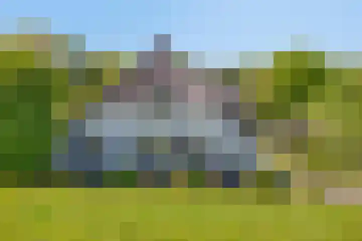 Maasdijk 5 Overlangel thumbnail 52