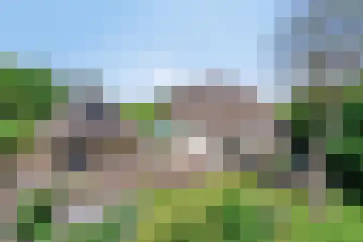 Maasdijk 5 Overlangel thumbnail 53