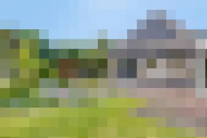 Maasdijk 5 Overlangel thumbnail 55