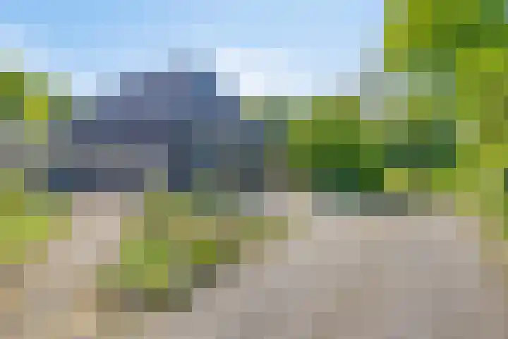 Maasdijk 5 Overlangel thumbnail 57